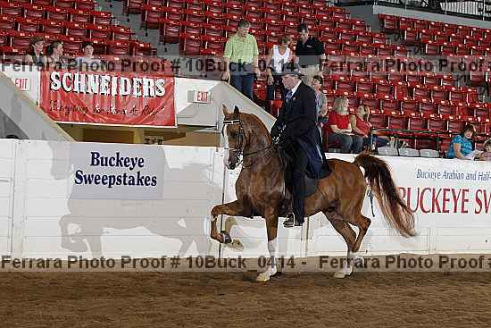 Proof 10buck_0414