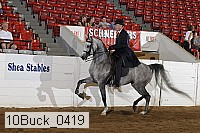 10buck_0419 proof