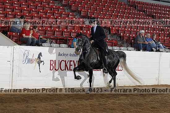 Proof 10buck_0423