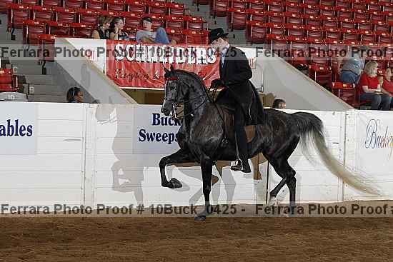 Proof 10buck_0425