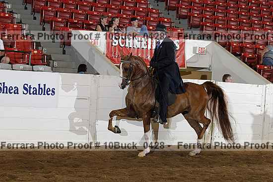 Proof 10buck_0428