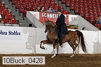 10buck_0428 proof