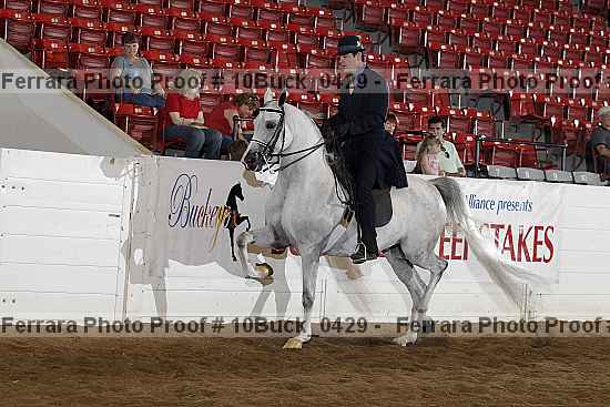Proof 10buck_0429