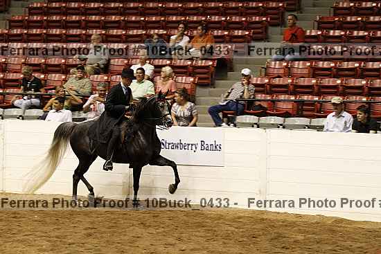 Proof 10buck_0433