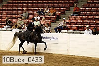 10buck_0433 proof
