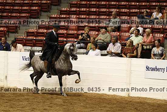 Proof 10buck_0435