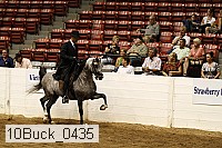 10buck_0435 proof
