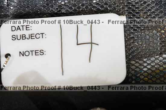 Proof 10buck_0443