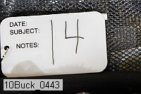 10buck_0443 proof