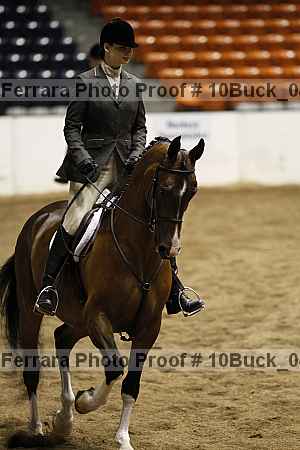 Proof 10buck_0454