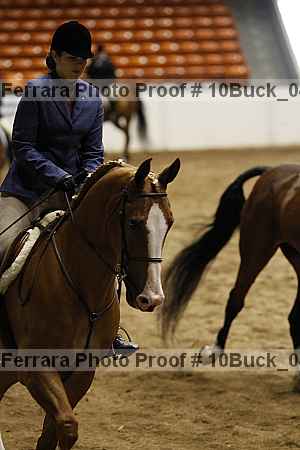 Proof 10buck_0477