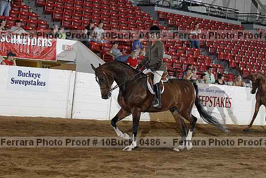 Proof 10buck_0486