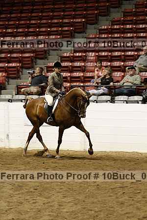 Proof 10buck_0528