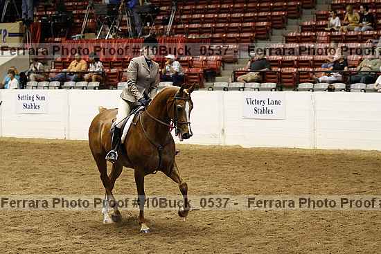 Proof 10buck_0537