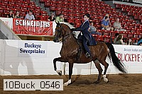 10buck_0546 proof