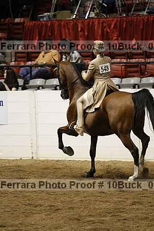 Proof 10buck_0557