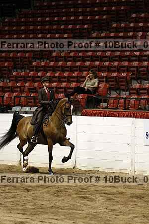 Proof 10buck_0563