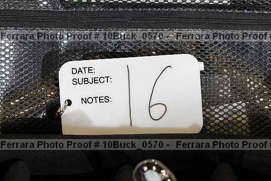 Proof 10buck_0570
