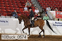 10buck_0574 proof