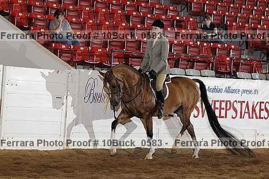 Proof 10buck_0583