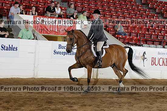 Proof 10buck_0593