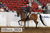 10buck_0604 proof