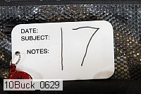 10buck_0629 proof