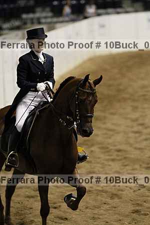 Proof 10buck_0650