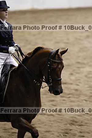 Proof 10buck_0651