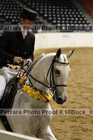 Proof 10buck_0656