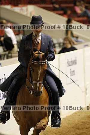 Proof 10buck_0669