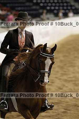 Proof 10buck_0672