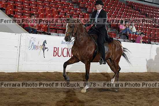 Proof 10buck_0678