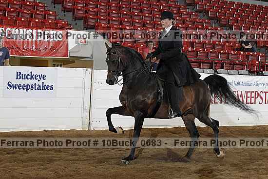 Proof 10buck_0683