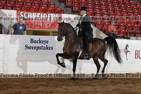 Proof 10buck_0686