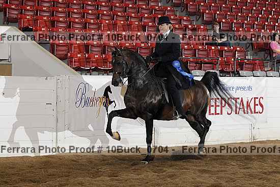 Proof 10buck_0704