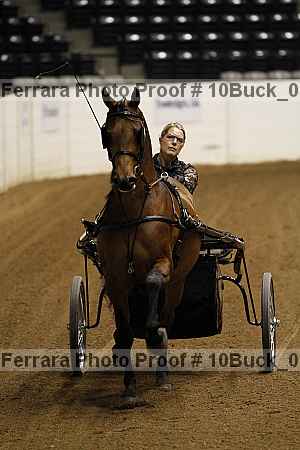 Proof 10buck_0707