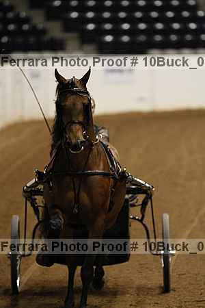 Proof 10buck_0708