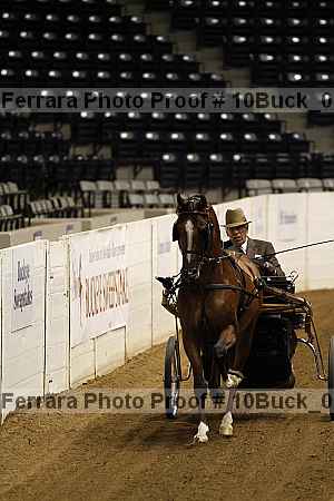 Proof 10buck_0710