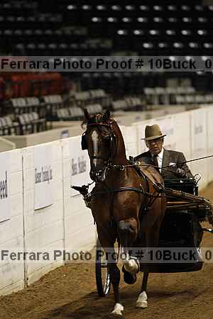 Proof 10buck_0711