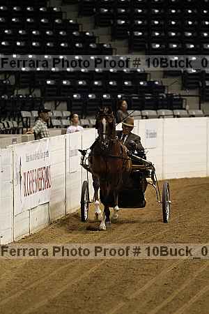 Proof 10buck_0716