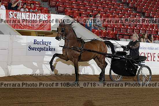 Proof 10buck_0718