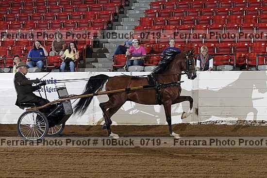 Proof 10buck_0719