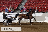10buck_0719 proof