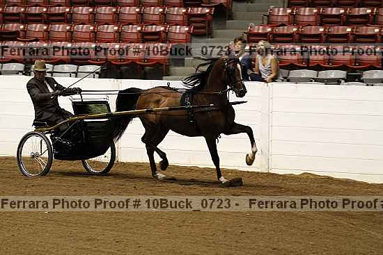 Proof 10buck_0723