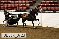 10buck_0723 proof