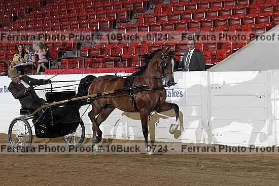 Proof 10buck_0724