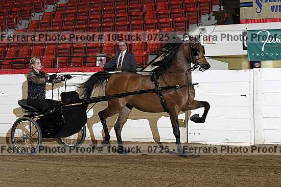 Proof 10buck_0725