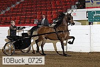 10buck_0725 proof