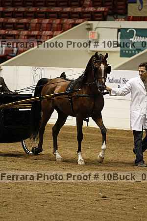 Proof 10buck_0726